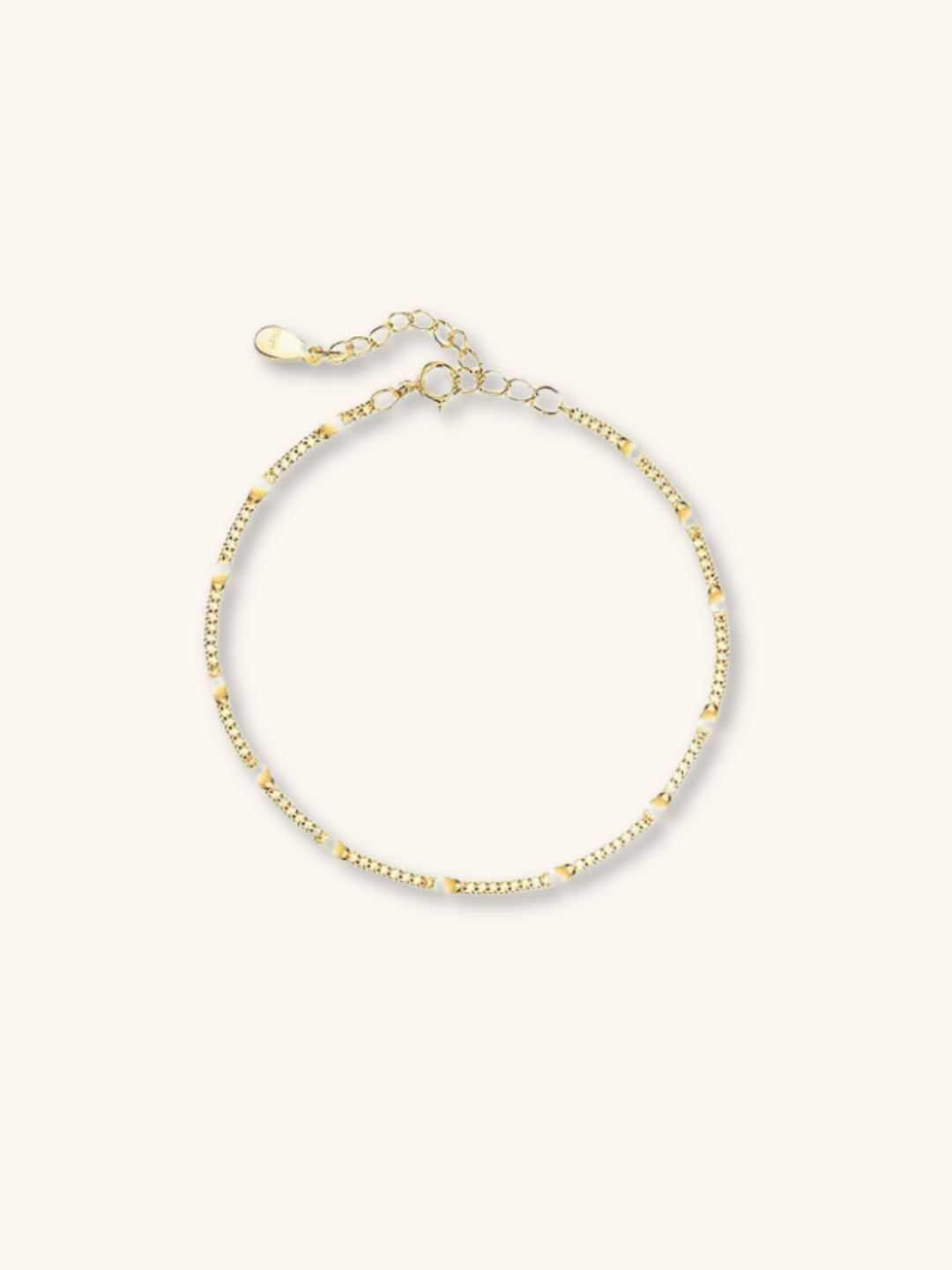 Titanium Fine Chain Anklet - Minimalist Lab