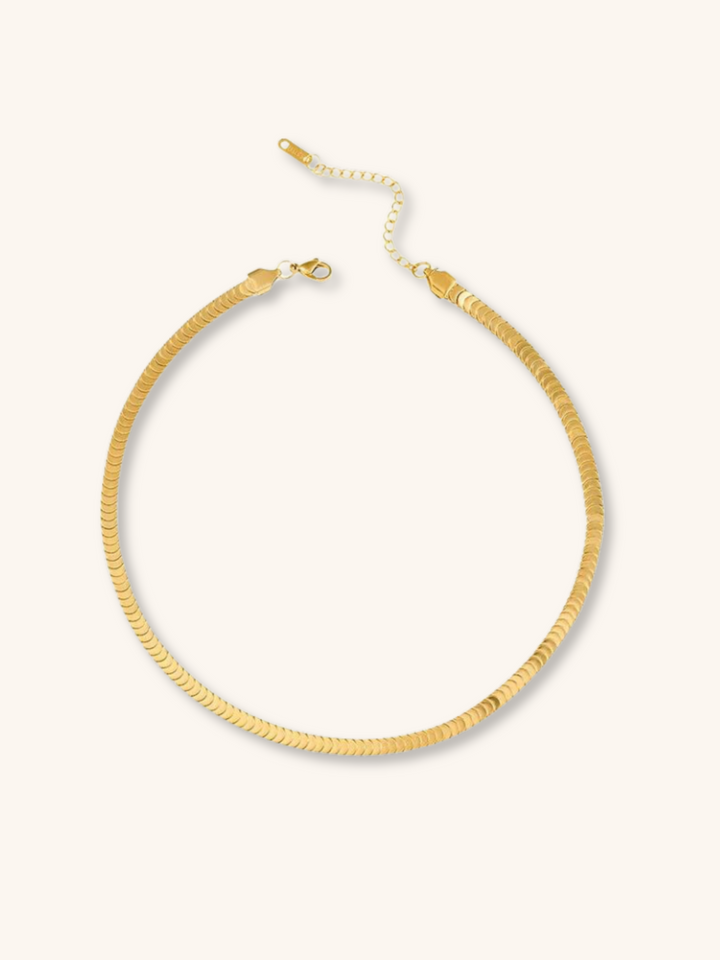 Minimalist Scale Chain Necklace