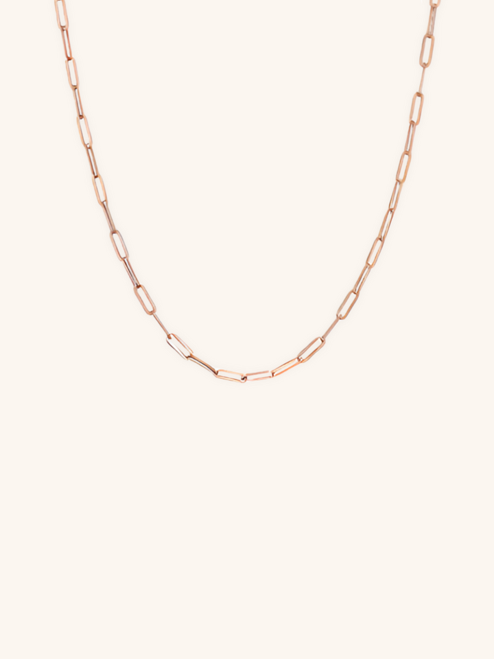 Paperclip Chain Essential Necklace