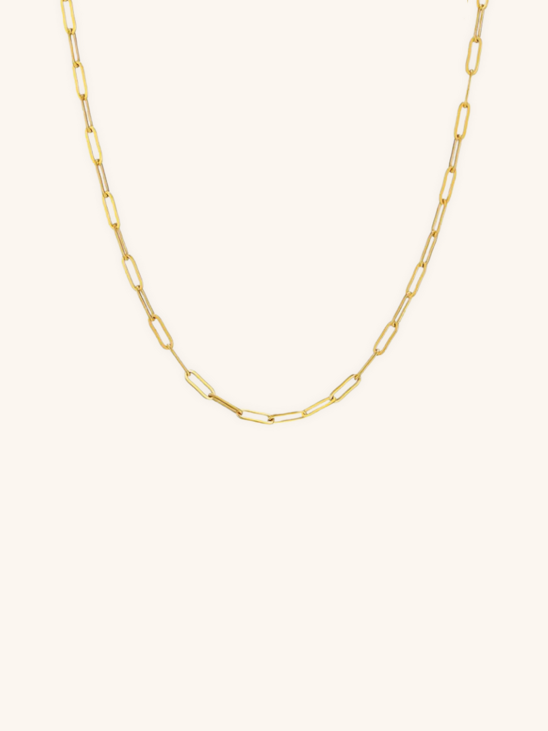 Paperclip Chain Essential Necklace