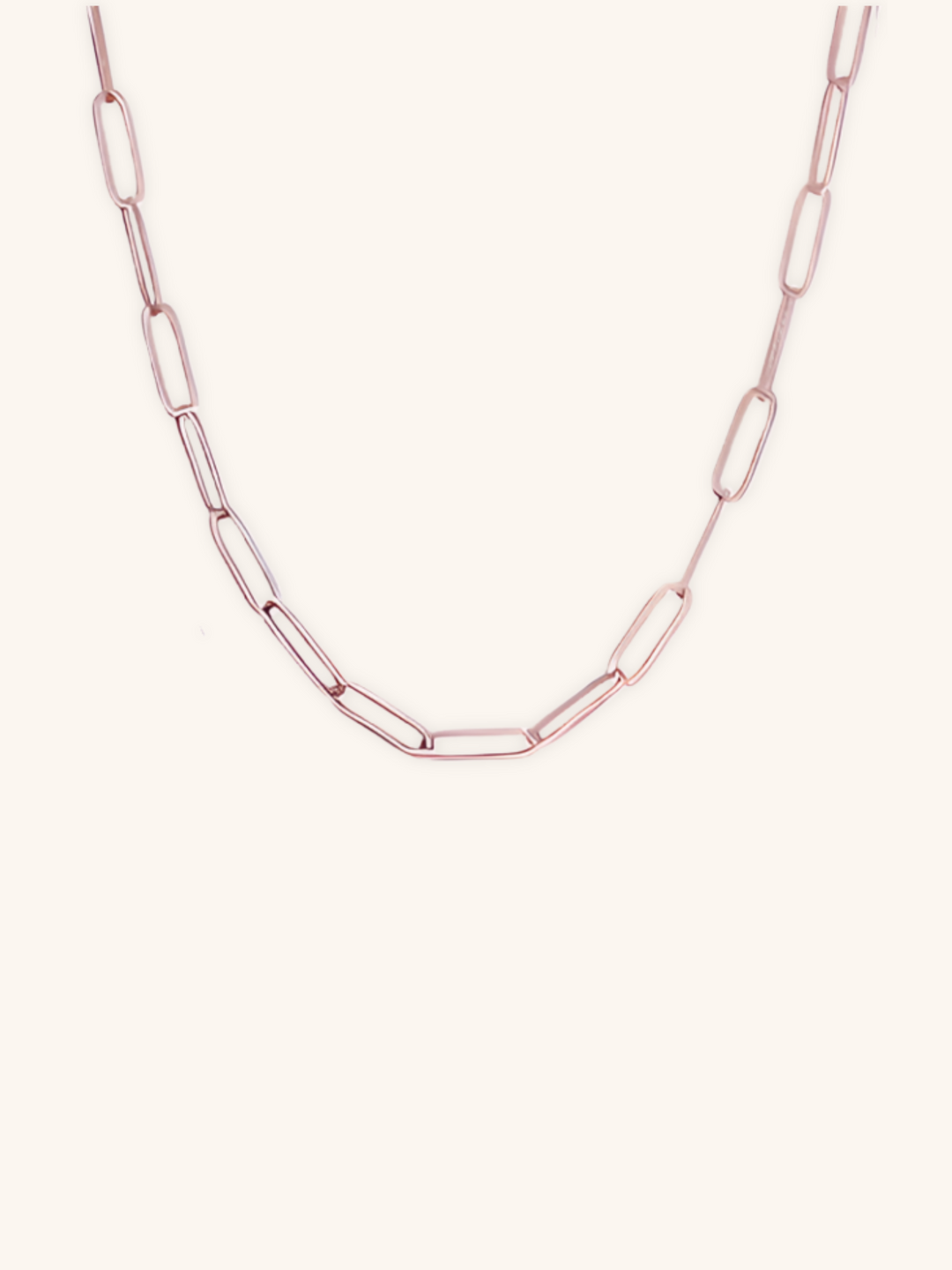 Paperclip Chain Essential Necklace