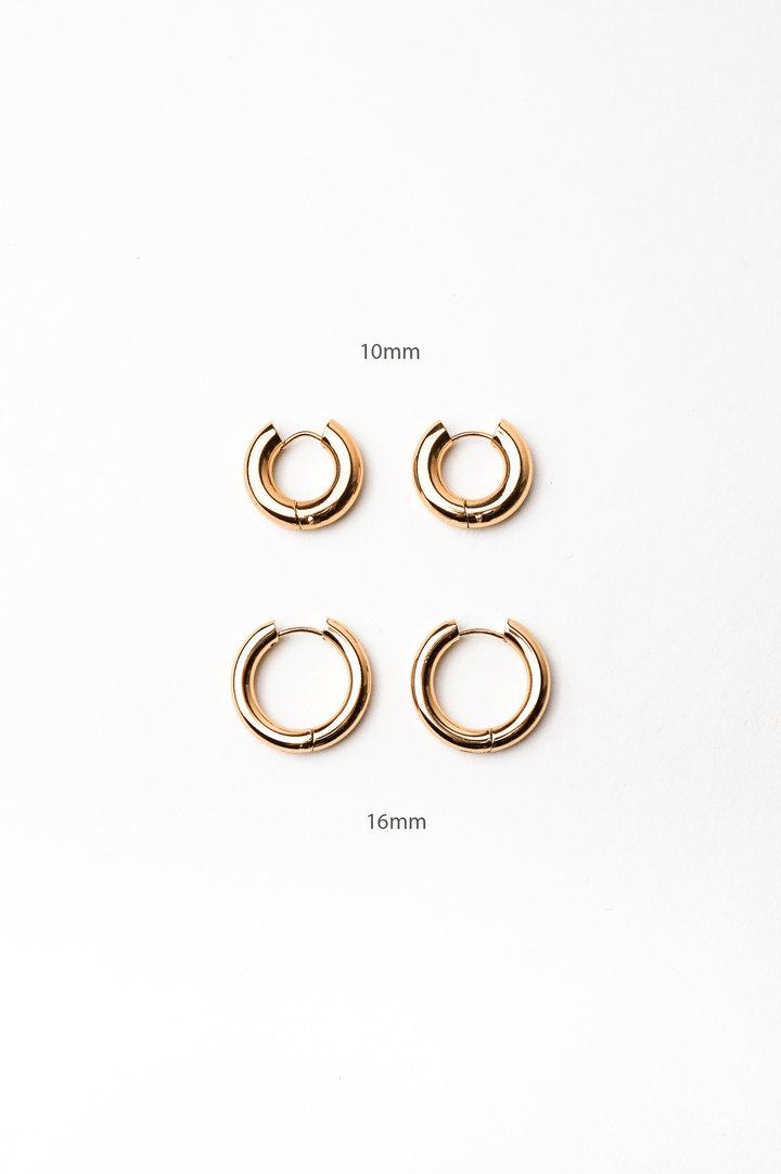 Blanca Bold Essential Hoop Earrings